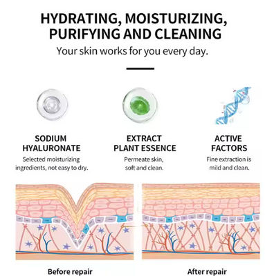 250ml Vitamin C Brightening Toner OEM Skin Care Soothing Nourishing