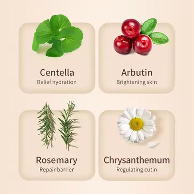 Private Label Hydrating Face Centella Hyaluronic Acid Pore Shrinking Skin Toner Whitening Niacinamide Toner