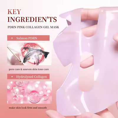 Bio Collagen Real Deep Mask Moisturising Overnight Hydrogel Mask Hydrating Sleeping Masks