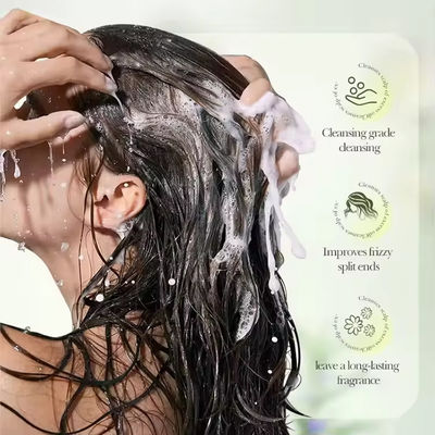 GMPC Private Label Clarifying Shampoo ODM Oil Control Anti Dandruff Anti Itchin