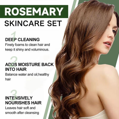 Private Label Vegan Shampoo Rosemary Mint Oil Control Shampoo OEM