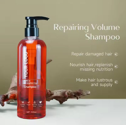 Logo OEM Shampoo And Conditioner Organic Sulfate Free Keratin Treatment