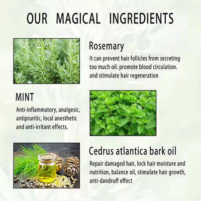 Anti Hair Loss Rosemary Private Label Organic Conditioner OEM Shampoo